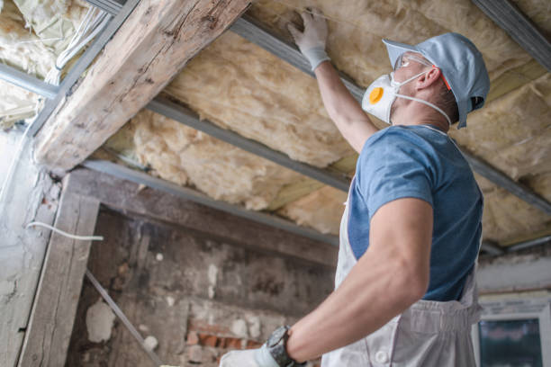 Best Insulation Inspection Services  in Flat Rock, MI